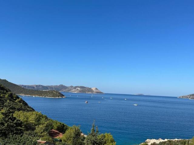 Kaktus Suites