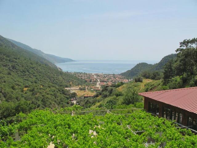 Manzara Hotel