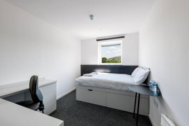New Park Summer Stays