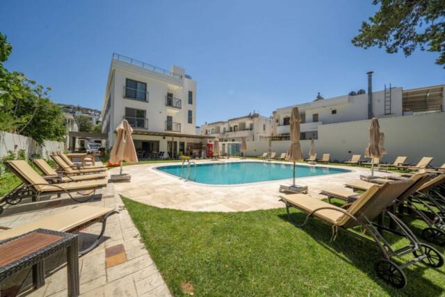 Olive Tree Hotel