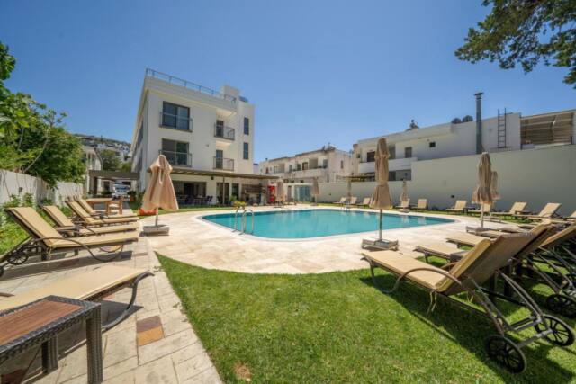 Olive Tree Hotel