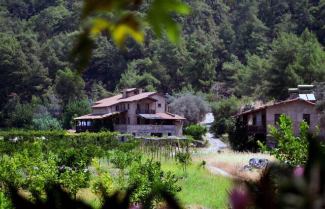 Pastoral Valley Farm