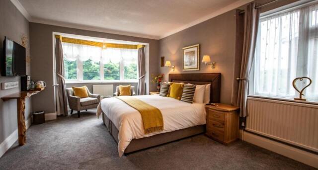 The Alexander – Adults Only