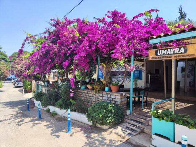 Umayra Otel