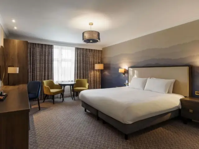 Executive Double / Twin Room