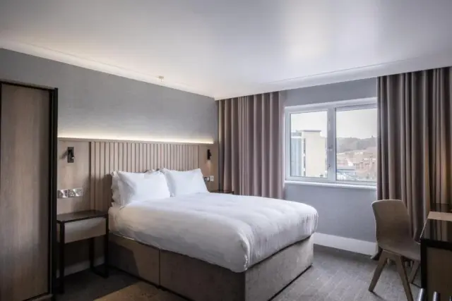 Semi-Accessible Room, 1 Double Bed