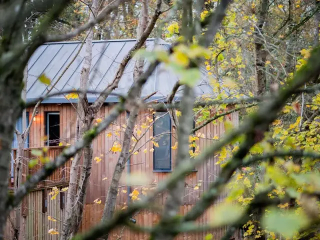 Two-Bedroom Luxury Treehouse Suite