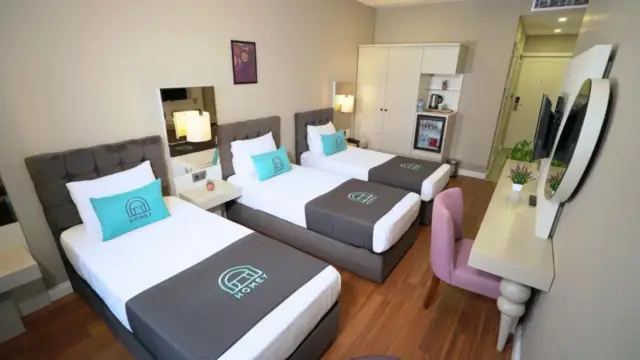 Basic Triple Room
