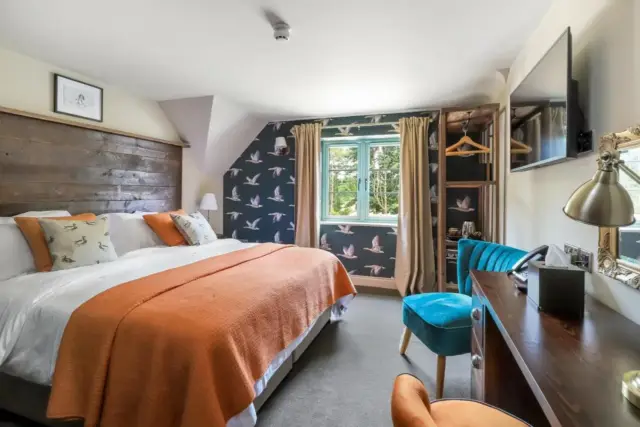 Deluxe Double or Twin Room