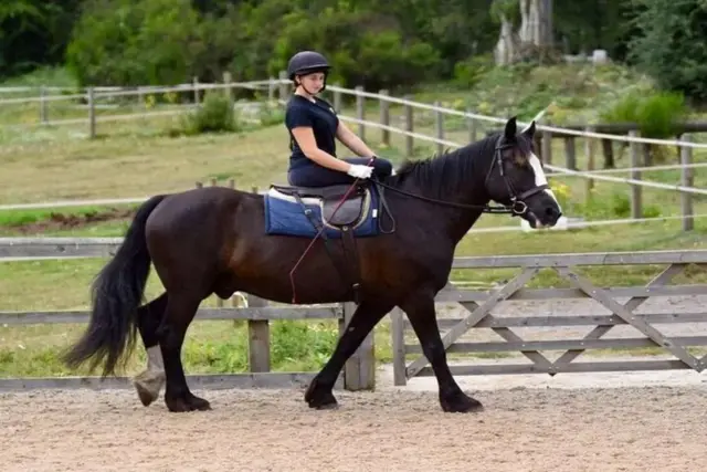 Kemer Horse Riding Experience with Transfer