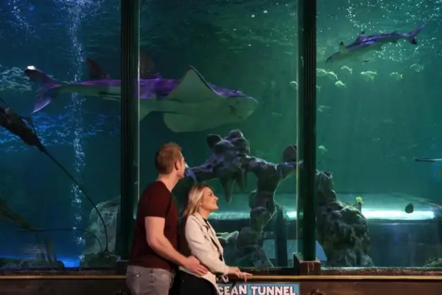 Admission to SEA LIFE Blackpool