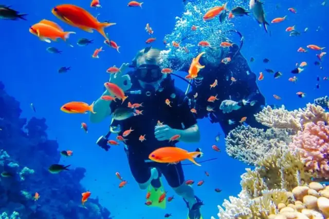 Antalya Dalış Turu: Konyaaltı’nda İki Dalış, Ekipman ve Otel Transferi