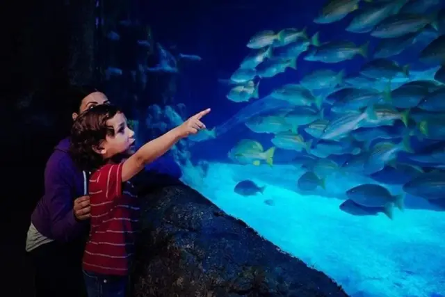 SEA LIFE Blackpool Giriş Bileti