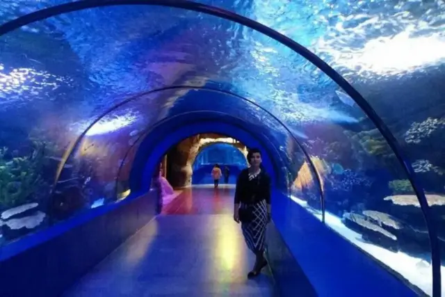 Antalya Akvaryum Bileti: Kar Dünyası, Balmumu Müzesi ve Kombine Paketler