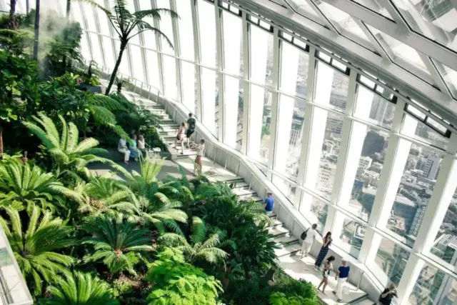 Sky Garden Erken Giriş Bileti: Pasta ve Sıcak İçecekle Kalabalıksız Sabah