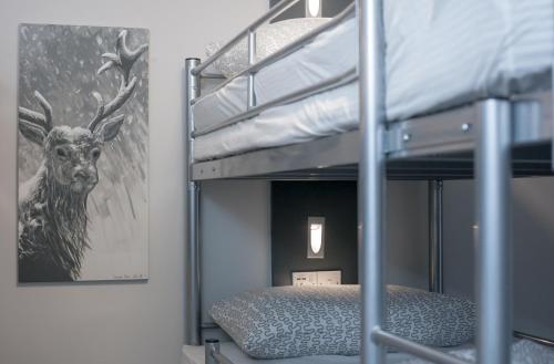 Six-Bedded Mixed Dormitory Room with 1 Bed - En-suite Bathroom